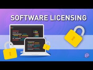 divi chat 247 - software licensing