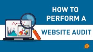 divi chat 264 - how to perform a website audit